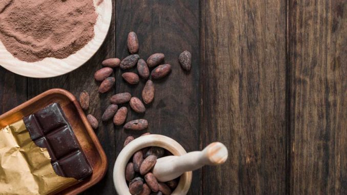 cacauechocolate