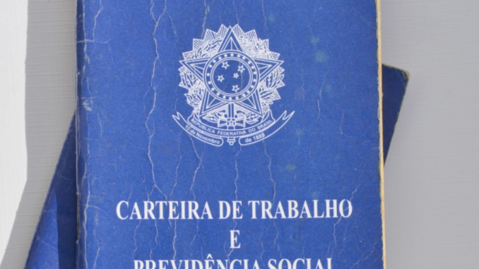 carteira de trabalho (2)