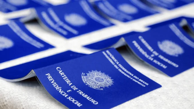carteiras-de-trabalho-repcap