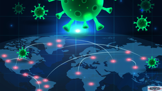 virus (2)