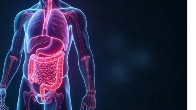 cérebro e intestinos