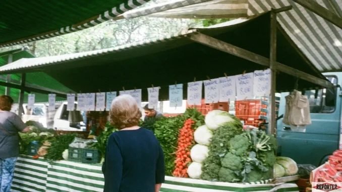 Feira livre