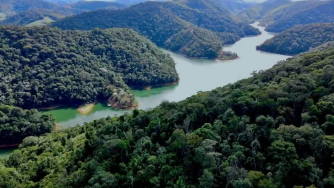 mata atlântica