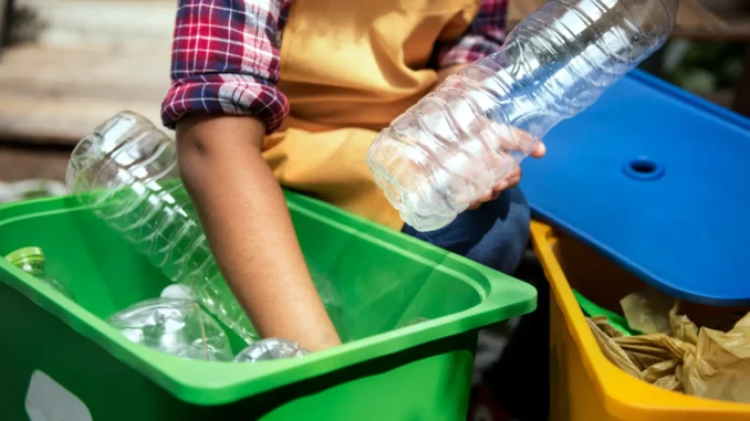 reciclagem