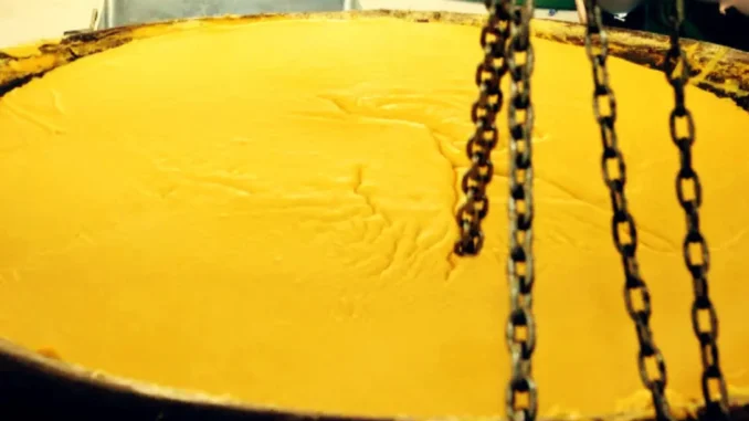 polenta (2)