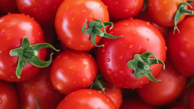 tomate