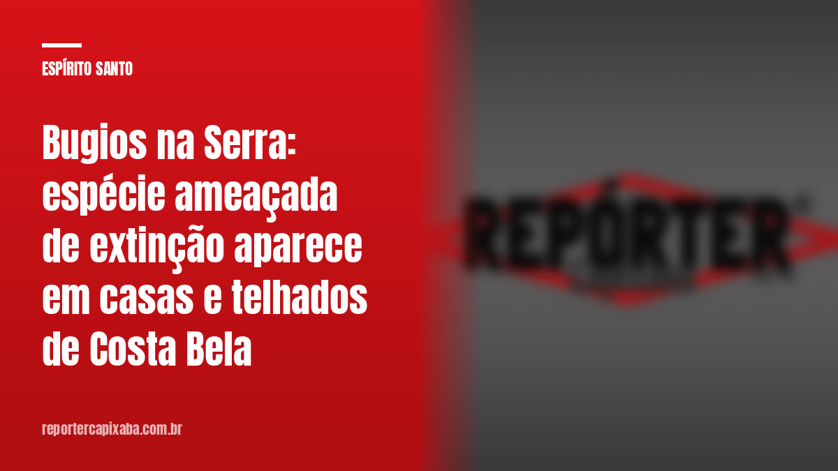Bugios na Serra: espécie ameaçada de extinção aparece em casas e telhados de Costa Bela