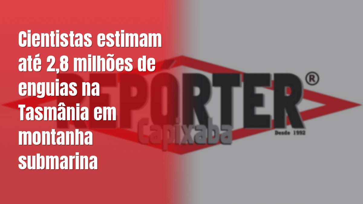 Cientistas estimam até 2,8 milhões de enguias na Tasmânia em montanha submarina