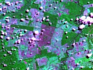 Desmatamento na Amazônia cai para o menor nível em 41 anos, aponta MapBiomas