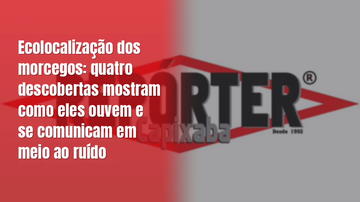 Ecolocalização dos morcegos: quatro descobertas mostram como eles ouvem e se comunicam em meio ao ruído