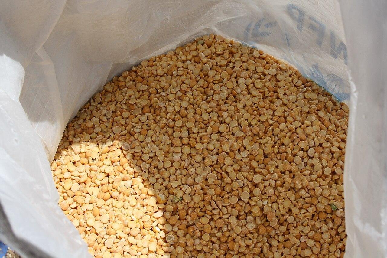 Insegurança alimentar no Afeganistão deve atingir quase 20 milhões de pessoas neste inverno