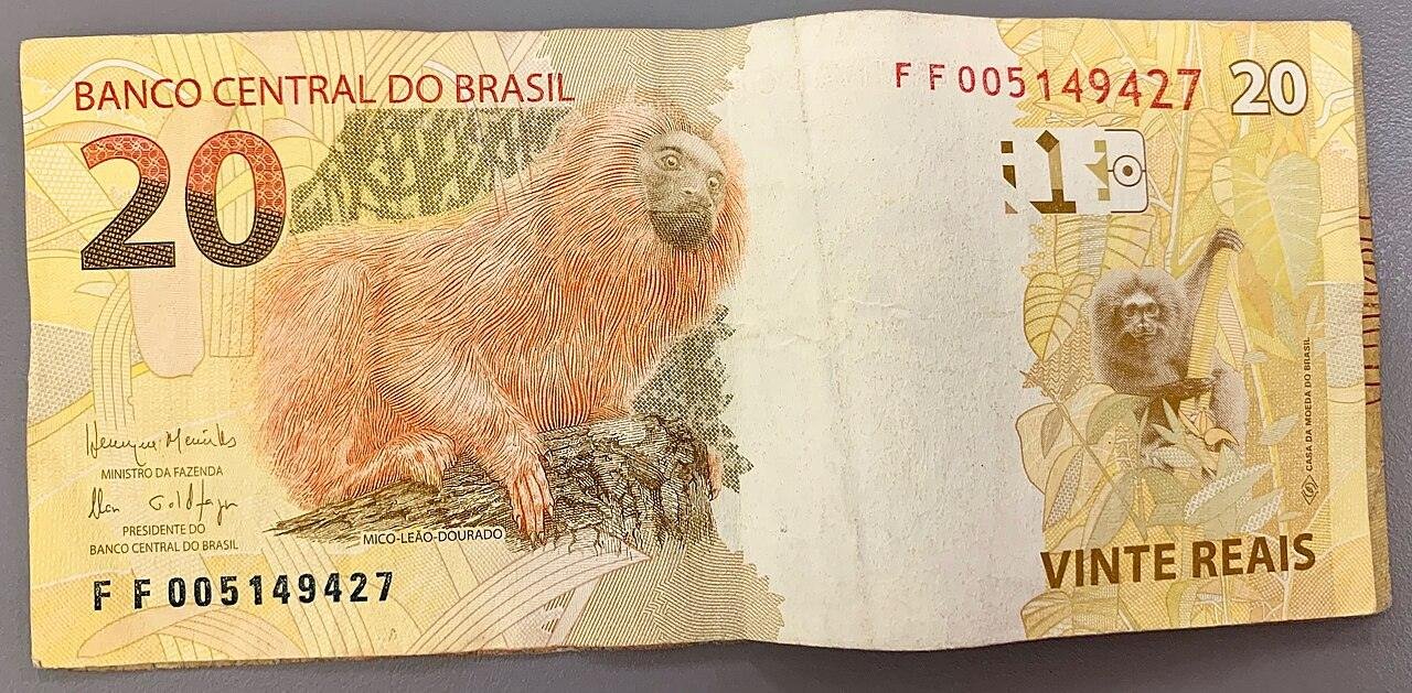 Reajuste do salário mínimo e aposentadorias: o que propõem Flávio Bolsonaro e Lula