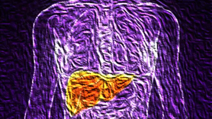 hepatite-pint