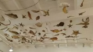 museu_pescador