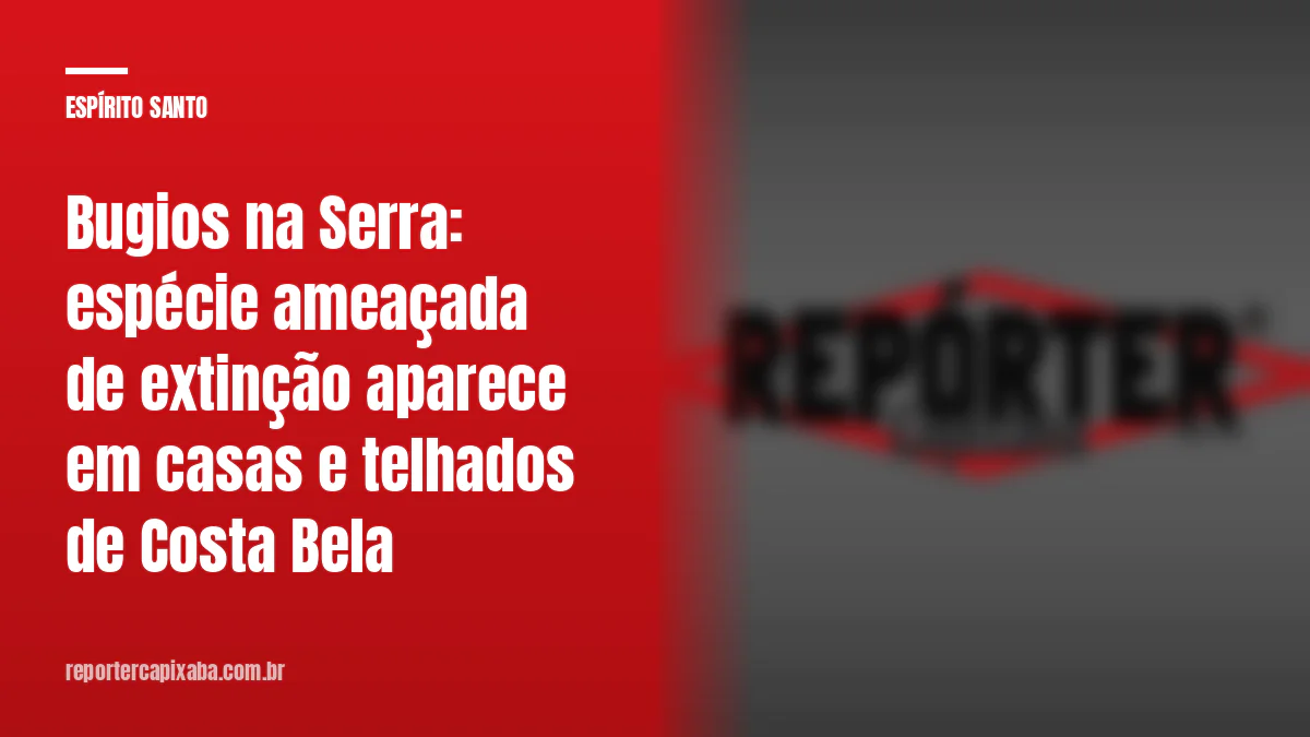 Bugios na Serra: espécie ameaçada de extinção aparece em casas e telhados de Costa Bela