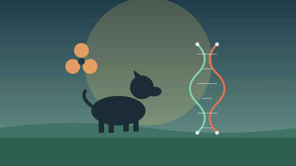 Silhueta escura de um cão sentado sobre um campo verde ao entardecer, com um símbolo laranja de radiação à esquerda e uma dupla hélice de DNA colorida à direita, representando as pesquisas genéticas.
