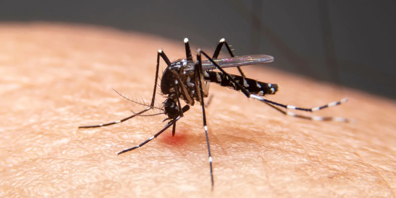Doenças infecciosas avançam com as mudanças climáticas no Brasil